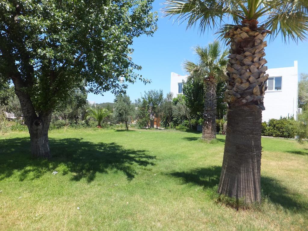 Aytas Hotel Ayvalı 외부 사진