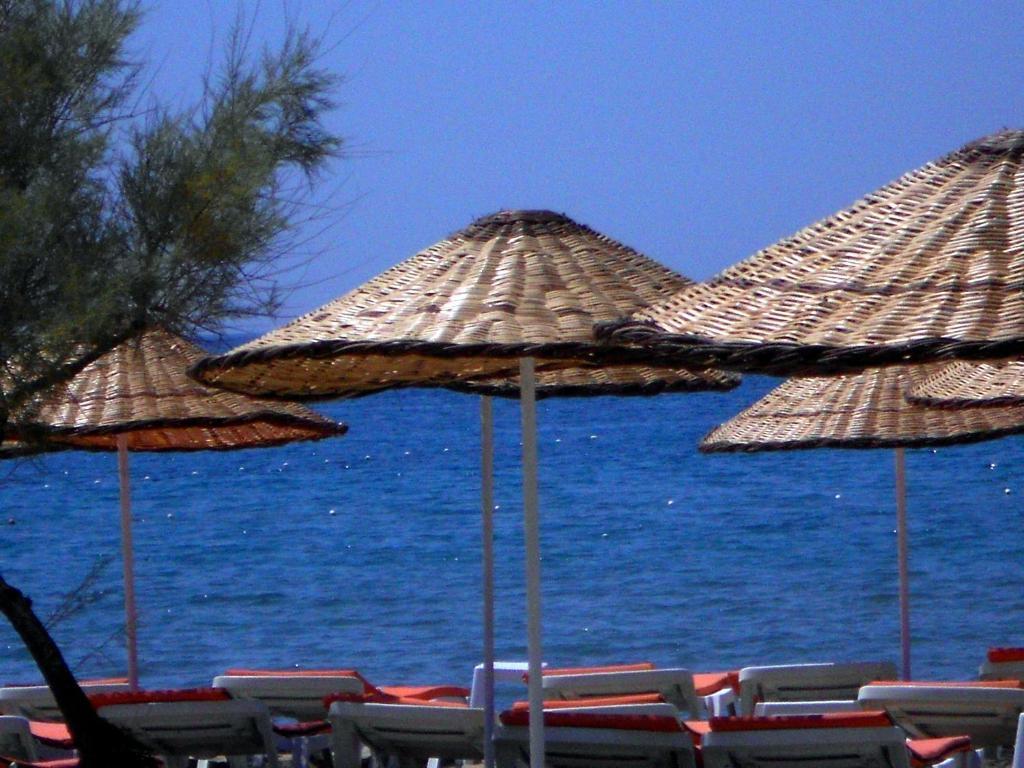 Aytas Hotel Ayvalı 외부 사진